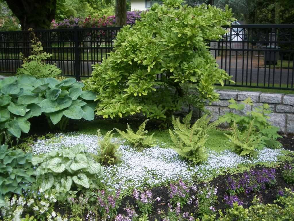 Shade Landscape Patio Small Flower Garden Design Designs Fascinating