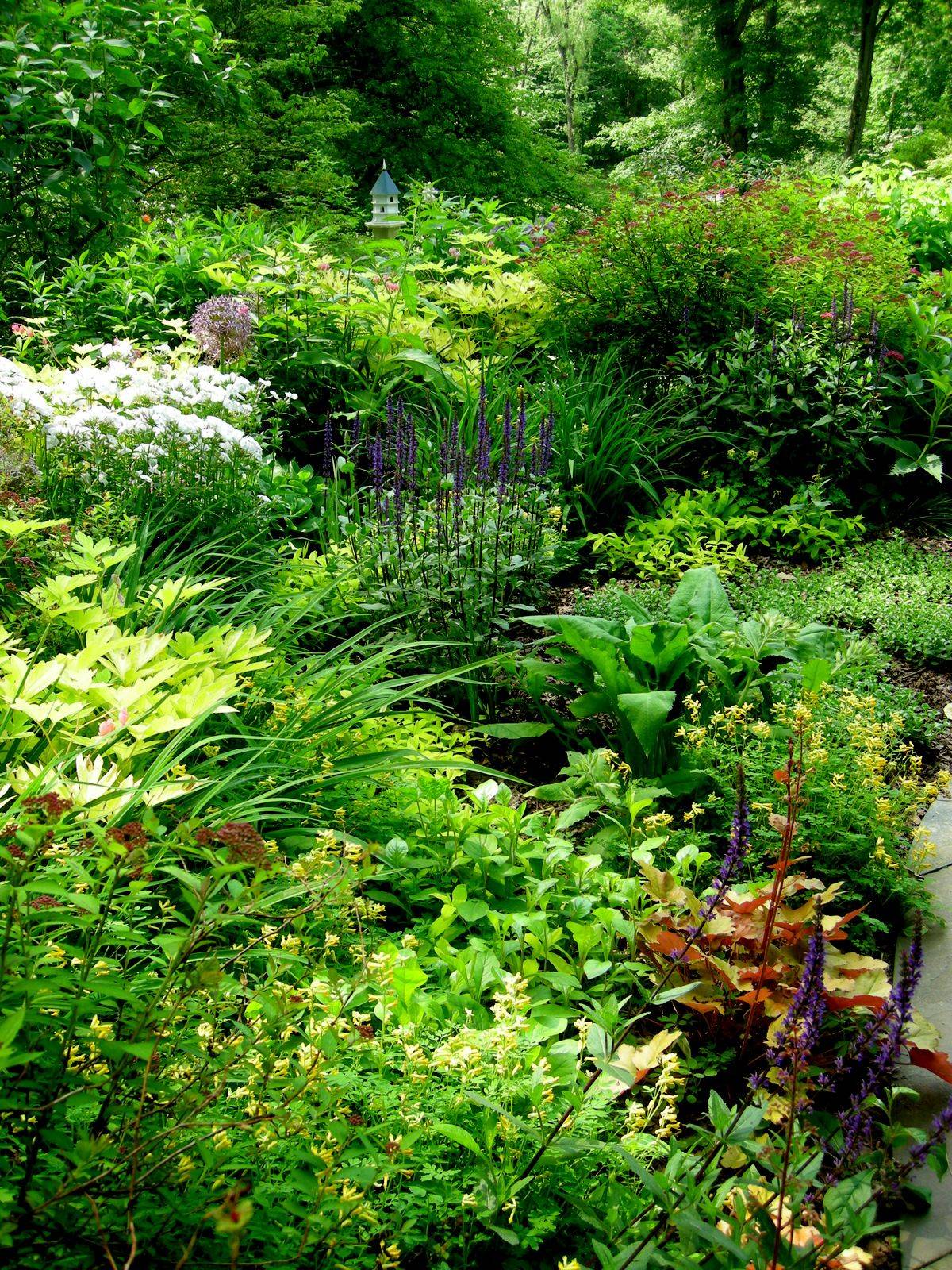 Zone Shade Garden Design Zone Perennials Lanedscaping Ideas