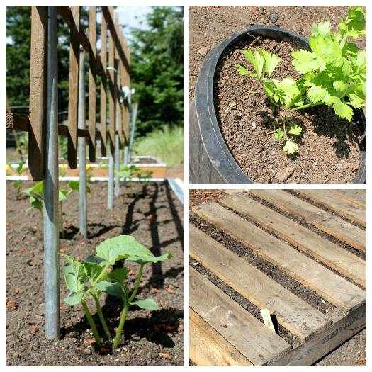 Fantastic Backyard Vegetable Garden Ideas