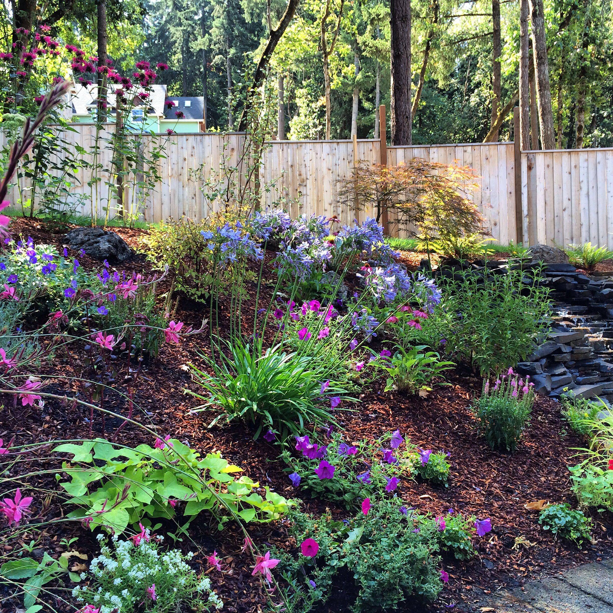 Pacific Northwest Garden Ideas