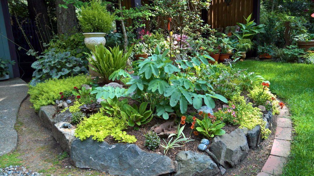 Pacific Northwest Gardening Forumjuly Flowersfoliage Gardenorg