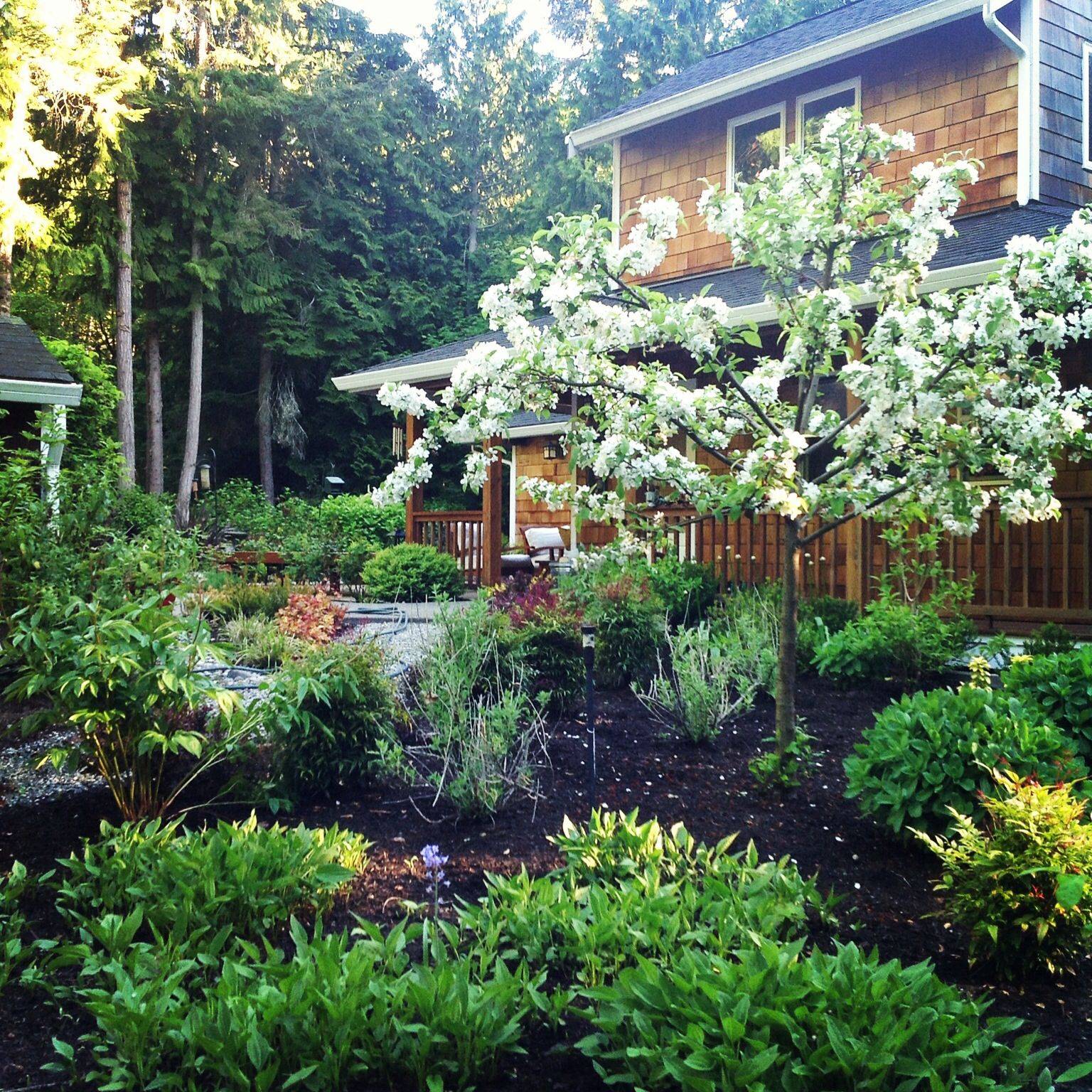 Pacific Northwest Landscape Plants Sloped Garden