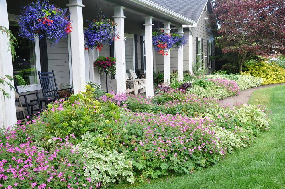 Top Shade Garden Plants