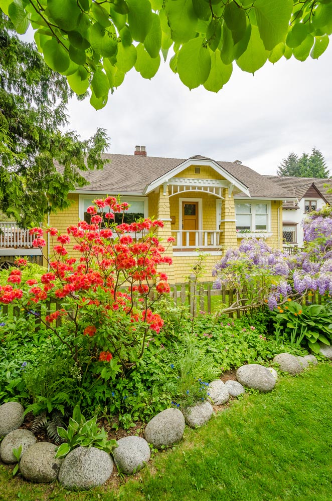 Backyard Landscaping
