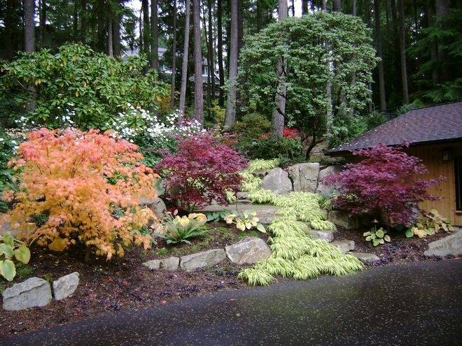 Low Maintenance Landscaping Ideas Pacific Northwest Easy Maintenance