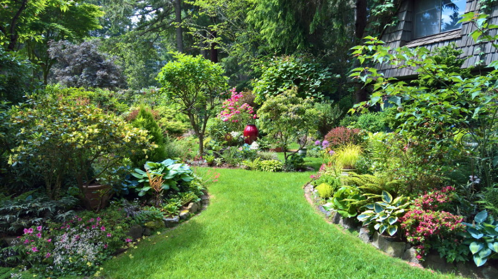 A New Pacific Northwest Shade Garden