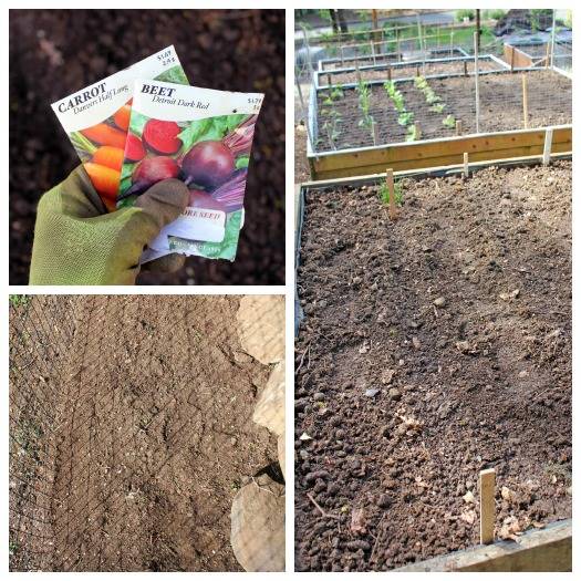 Pretty Landscaping Ideas