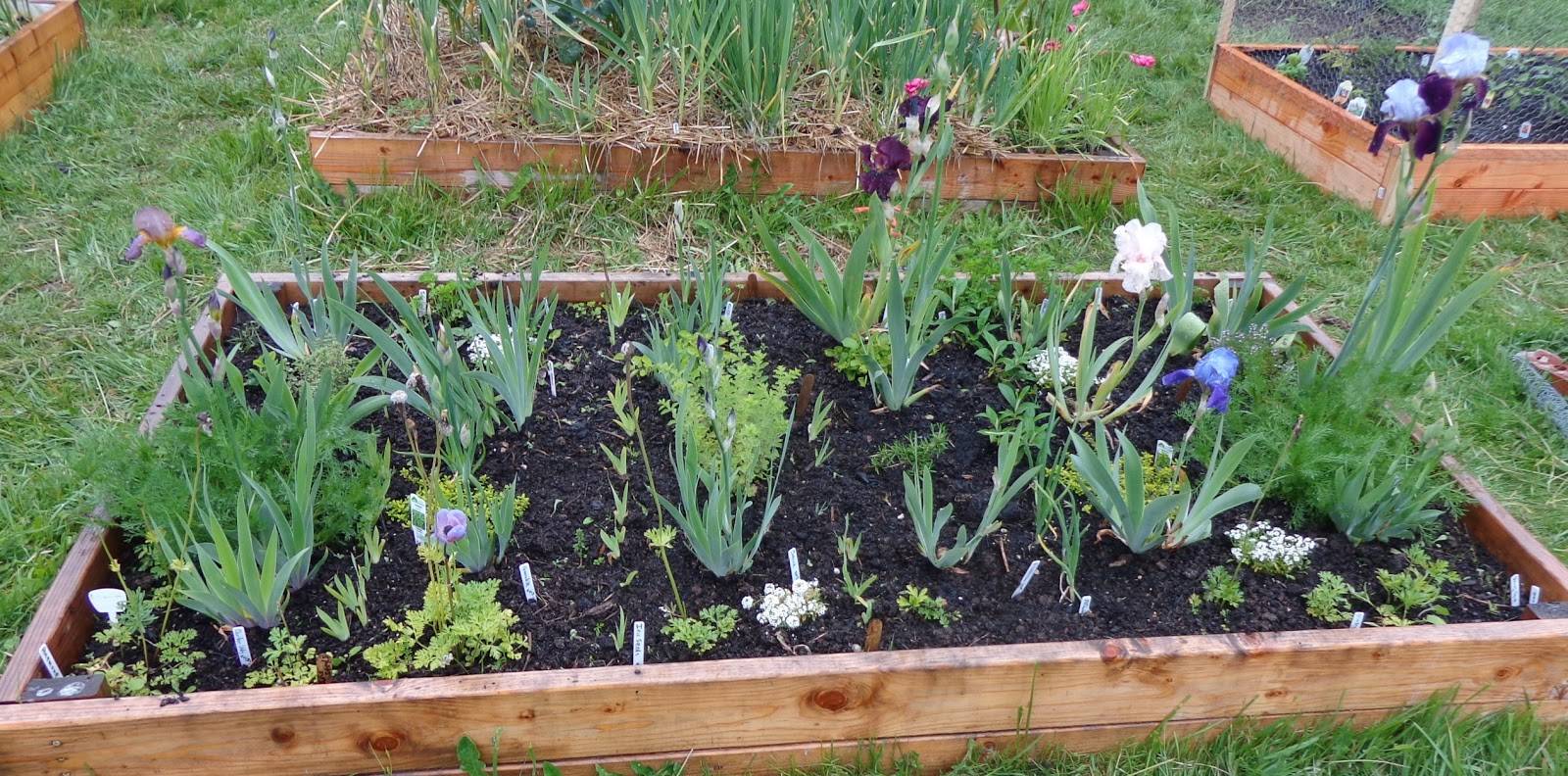 The Pacific Northwest Sends