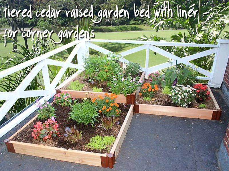 Low Maintenance Pacific Northwest Native Garden Design Garden Layout