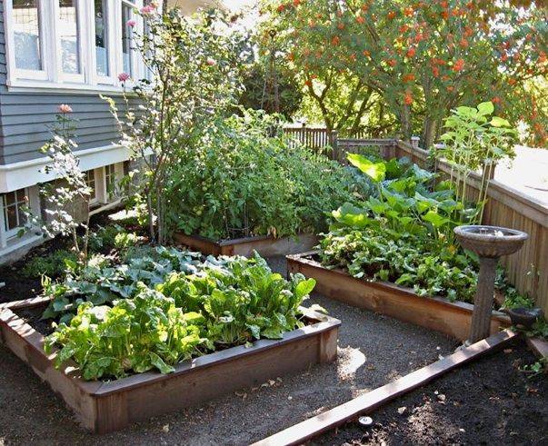 Gardening Raised Garden Beds