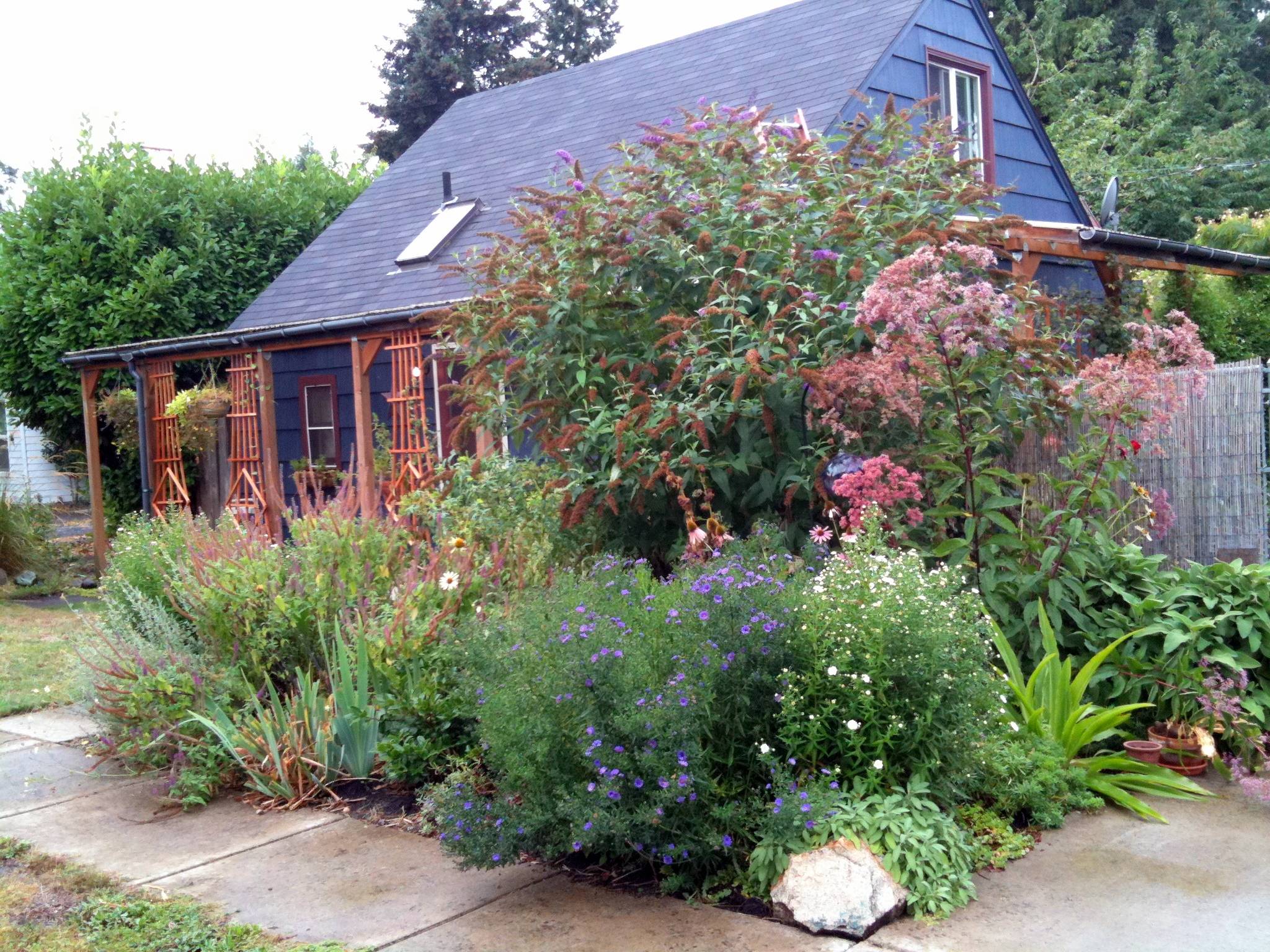 A Cottage Garden