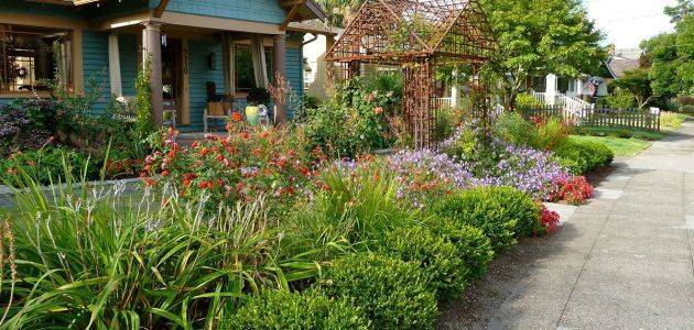 A New Pacific Northwest Shade Garden