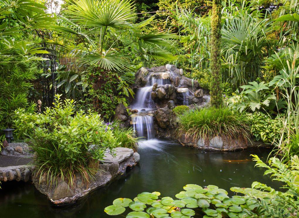 The Pacific Northwest Backyard