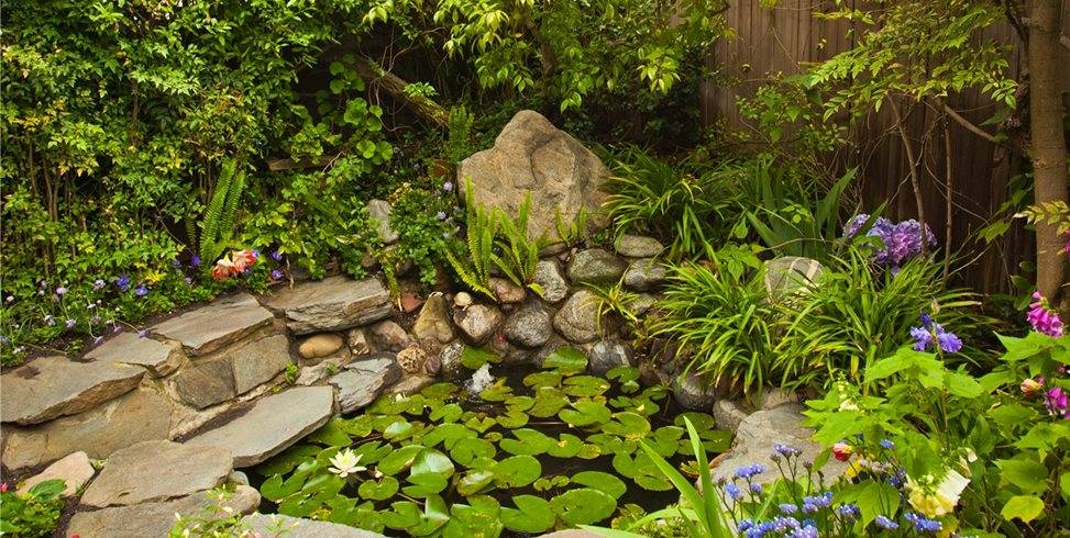 North Coast Gardening