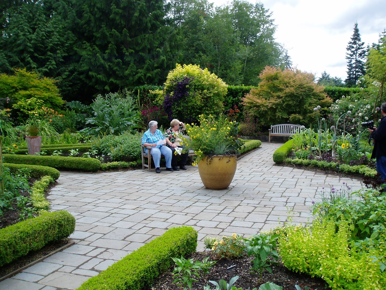 Tropical Makeover Garden Design