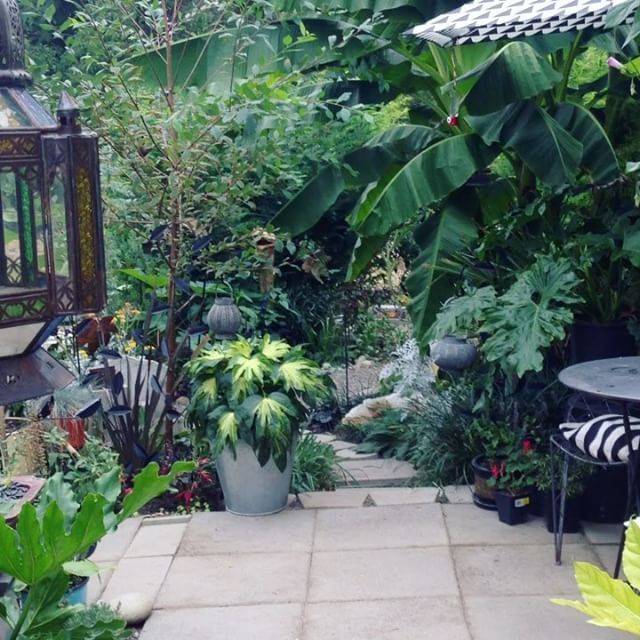 The Pacific Northwest Garden Therapy