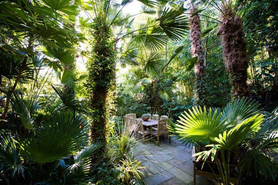 Tropical Landscaping Ideas Landscaping Network