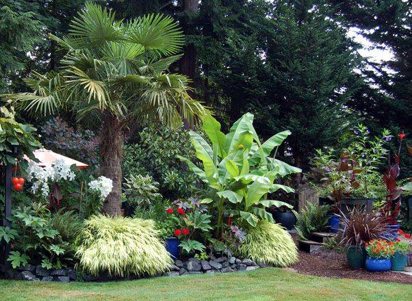 Pacificnorthwesttropicalgarden