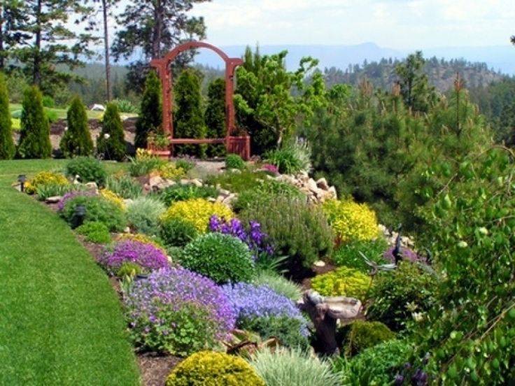 My Pacific Nw Gardens Garden