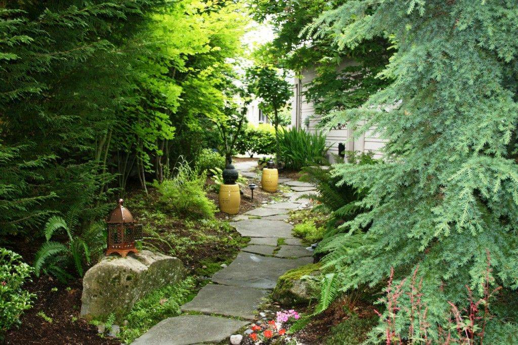 A New Pacific Northwest Shade Garden
