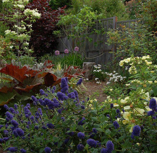 Pacific Northwest Garden Ideas
