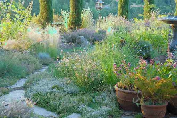 Pacific Northwest Evergreen Garden Landscaping Ideas