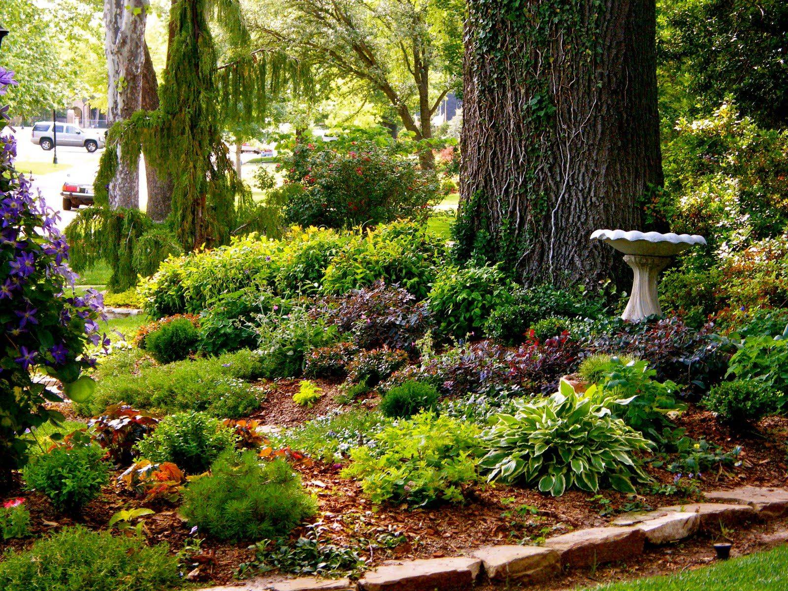 Landscape Design