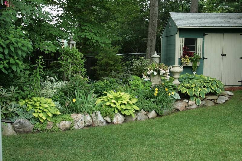 Hosta Shade Garden Front Yard Landscaping Design