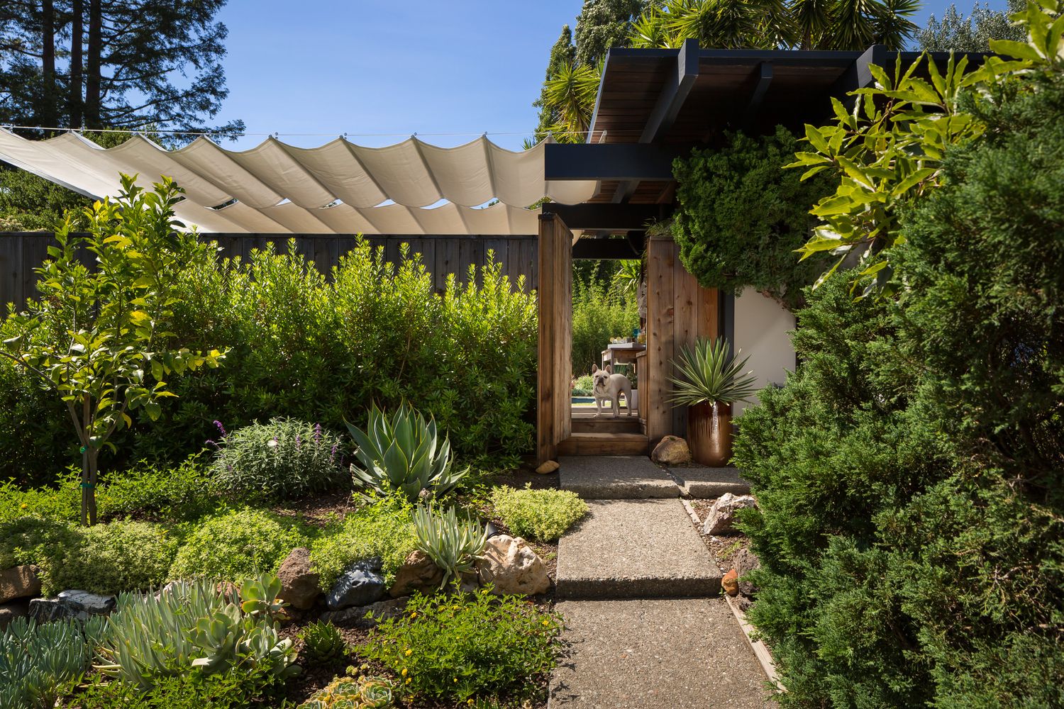 Perfect Shade Plants