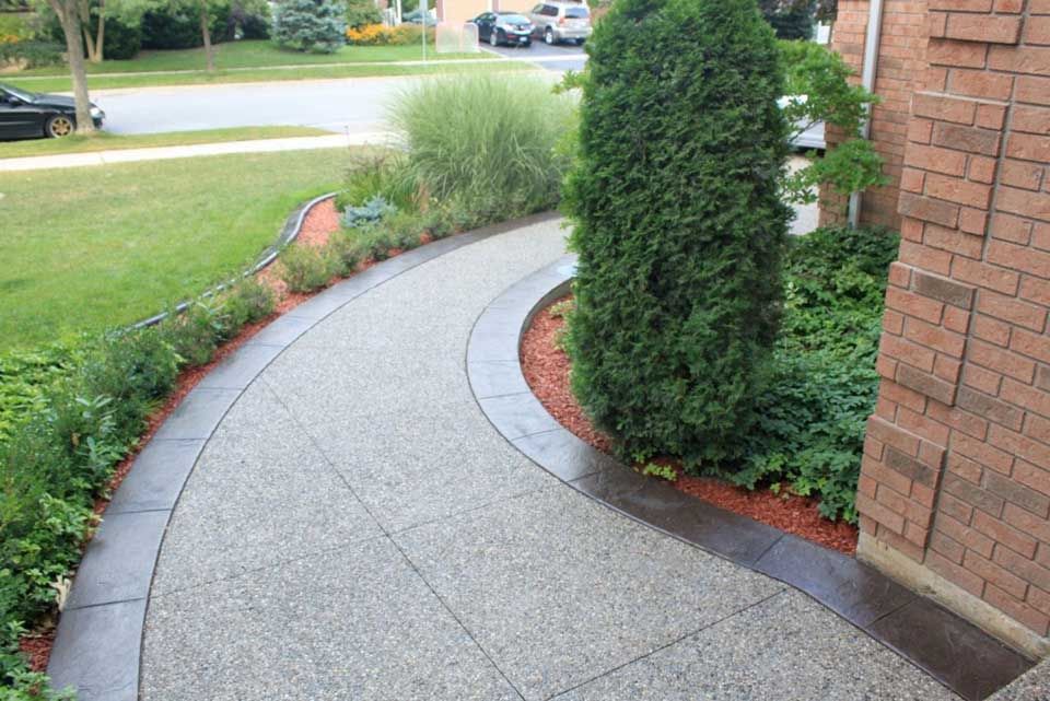 Perfect Shade Plants