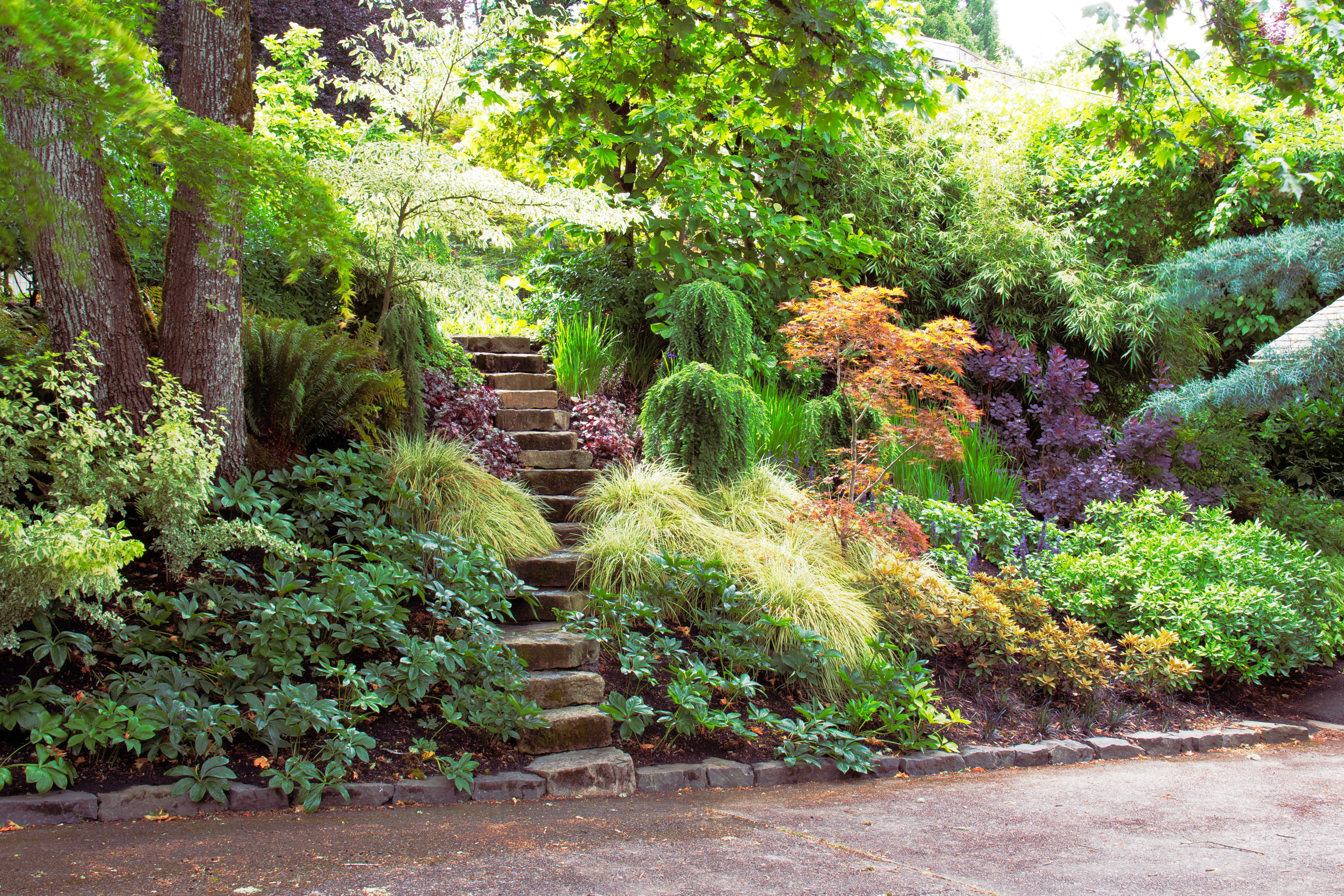 Shade Landscape Patio Small Flower Garden Design Designs Fascinating