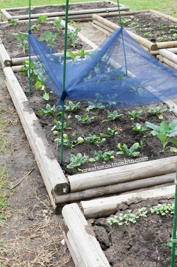 Your Greenhouse Decoratop