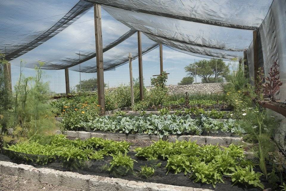 Great Shade Gardening Ideas