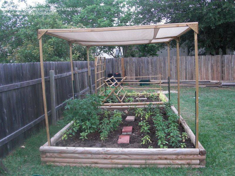 Fruit And Vegetable Garden Grow Tomatoes