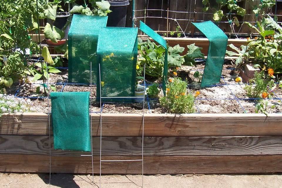 Wonderful Diy Backyard Shade Structure