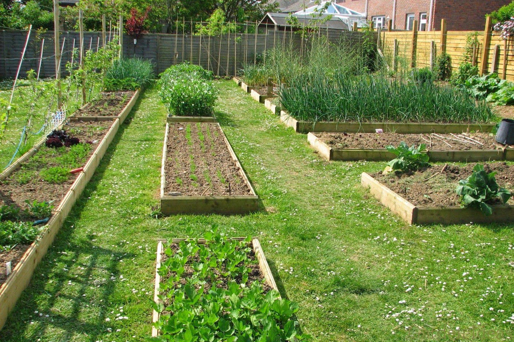 Garden Shade Structure Vegetable Garden Shade Structure Ideas