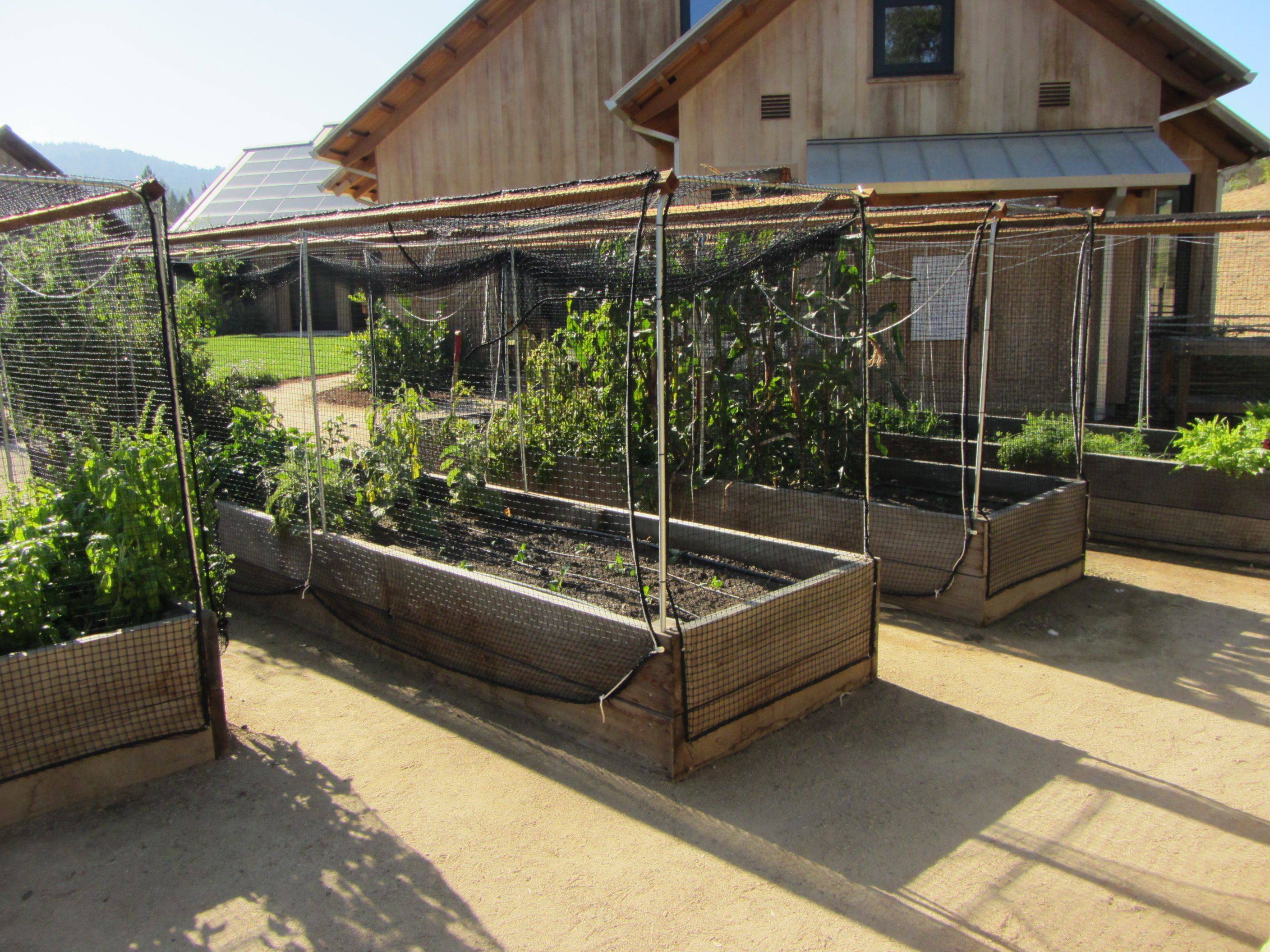 Raised Redwood Vegetable Garden Bed