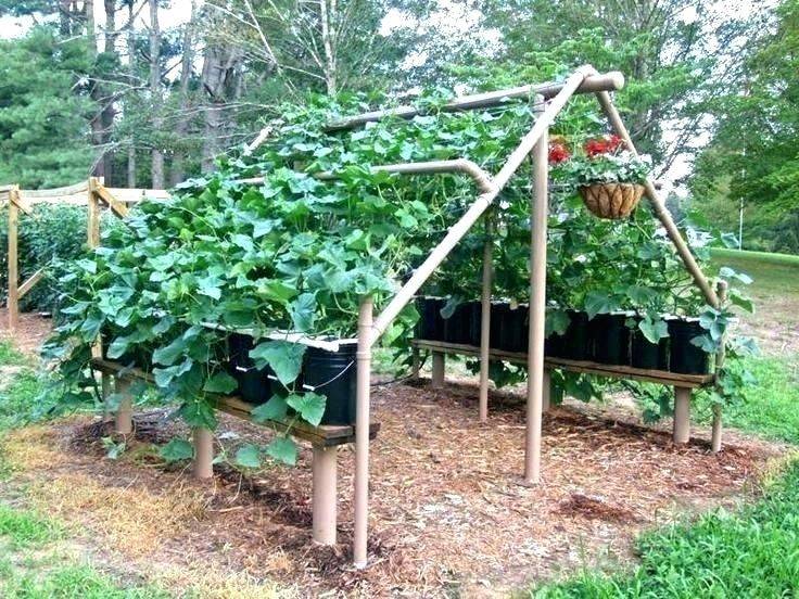 Vegetable Garden Shade Structures