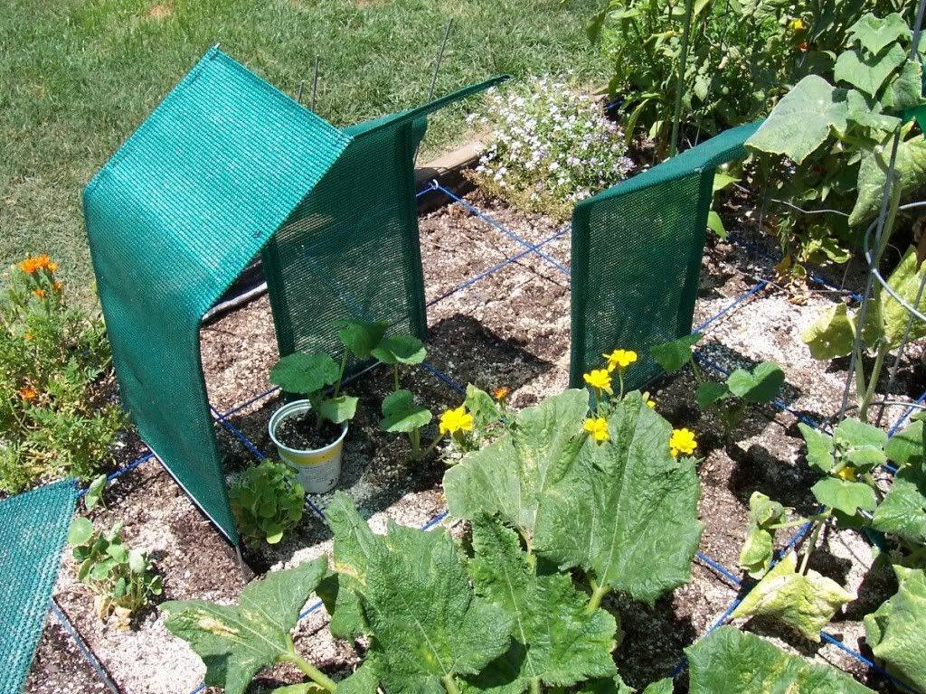 Diy Garden Shade Cloth