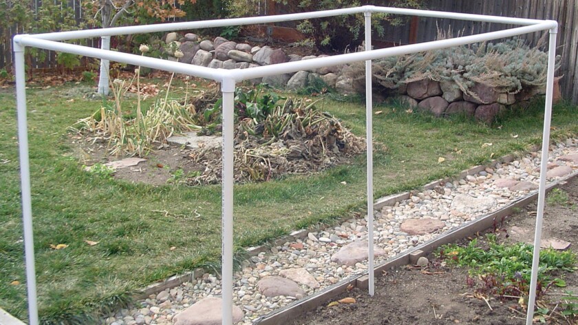 A Diy Custom Garden Protection Frame