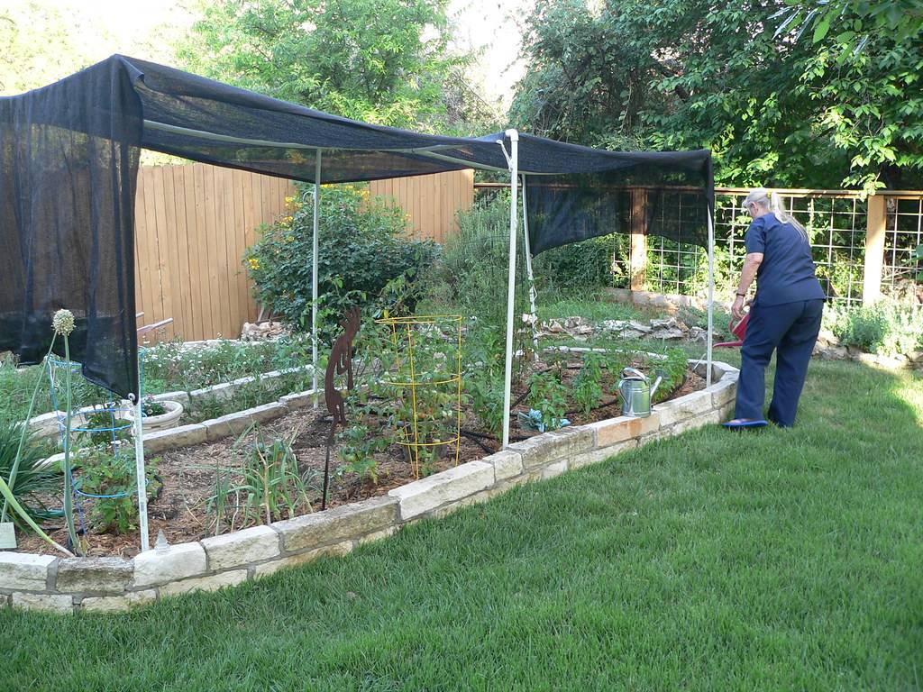 Raised Redwood Vegetable Garden Bed