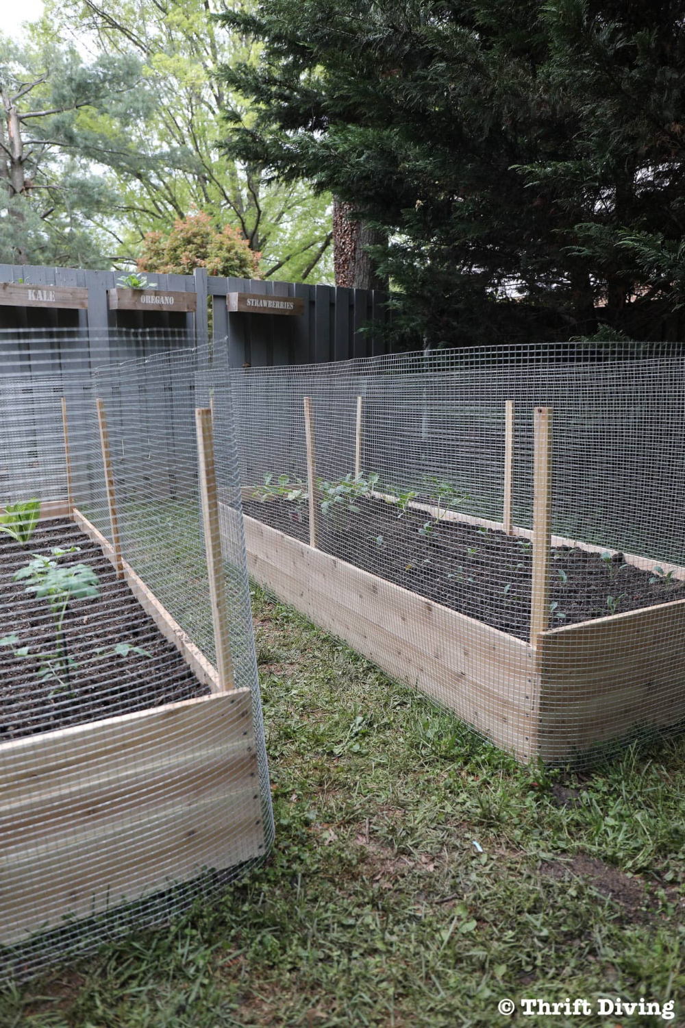 Fascinating Easytodo And Unique Diy Raised Garden Bed Ideas