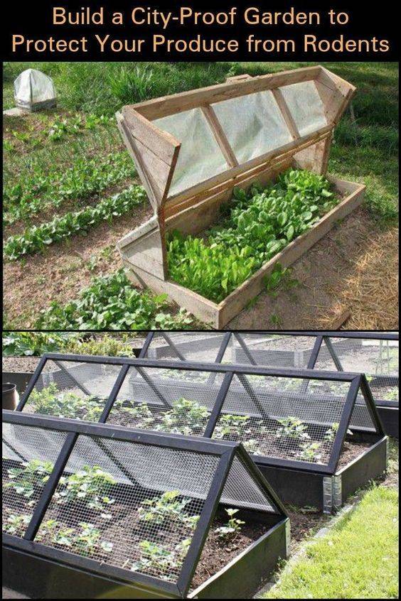 A Removable Raised Garden Bed Fence