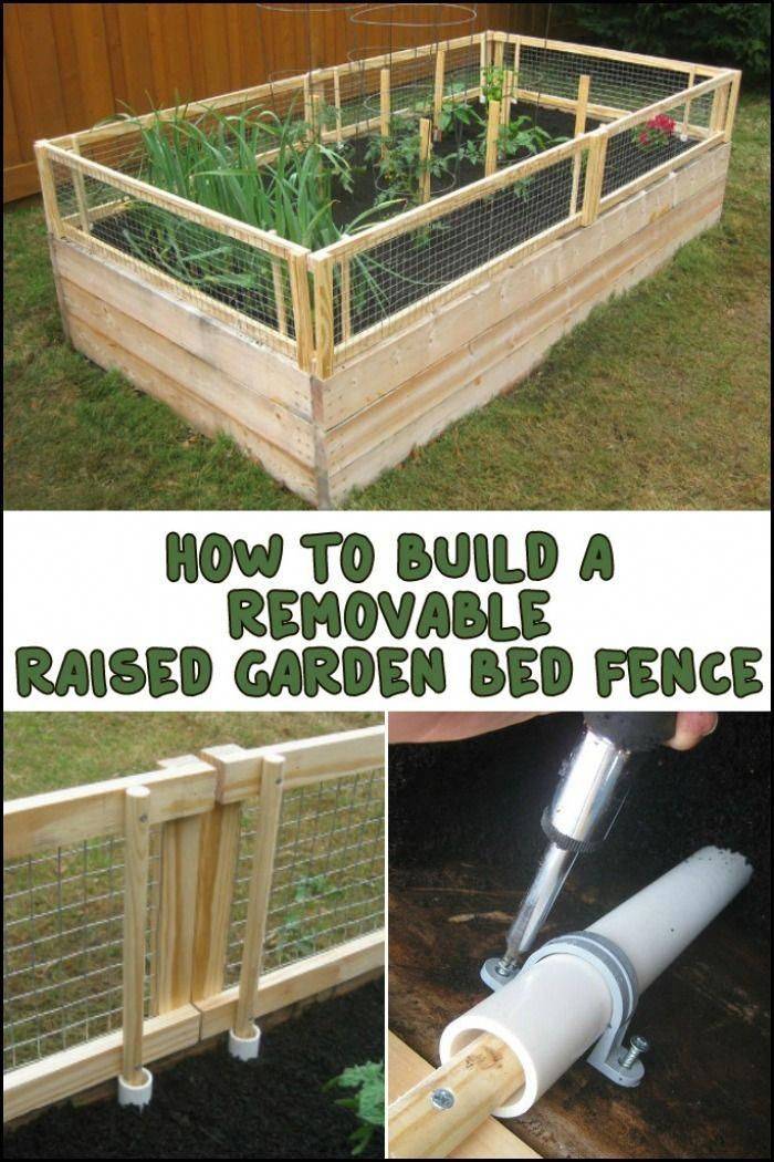 A Diy Raised Garden Bed