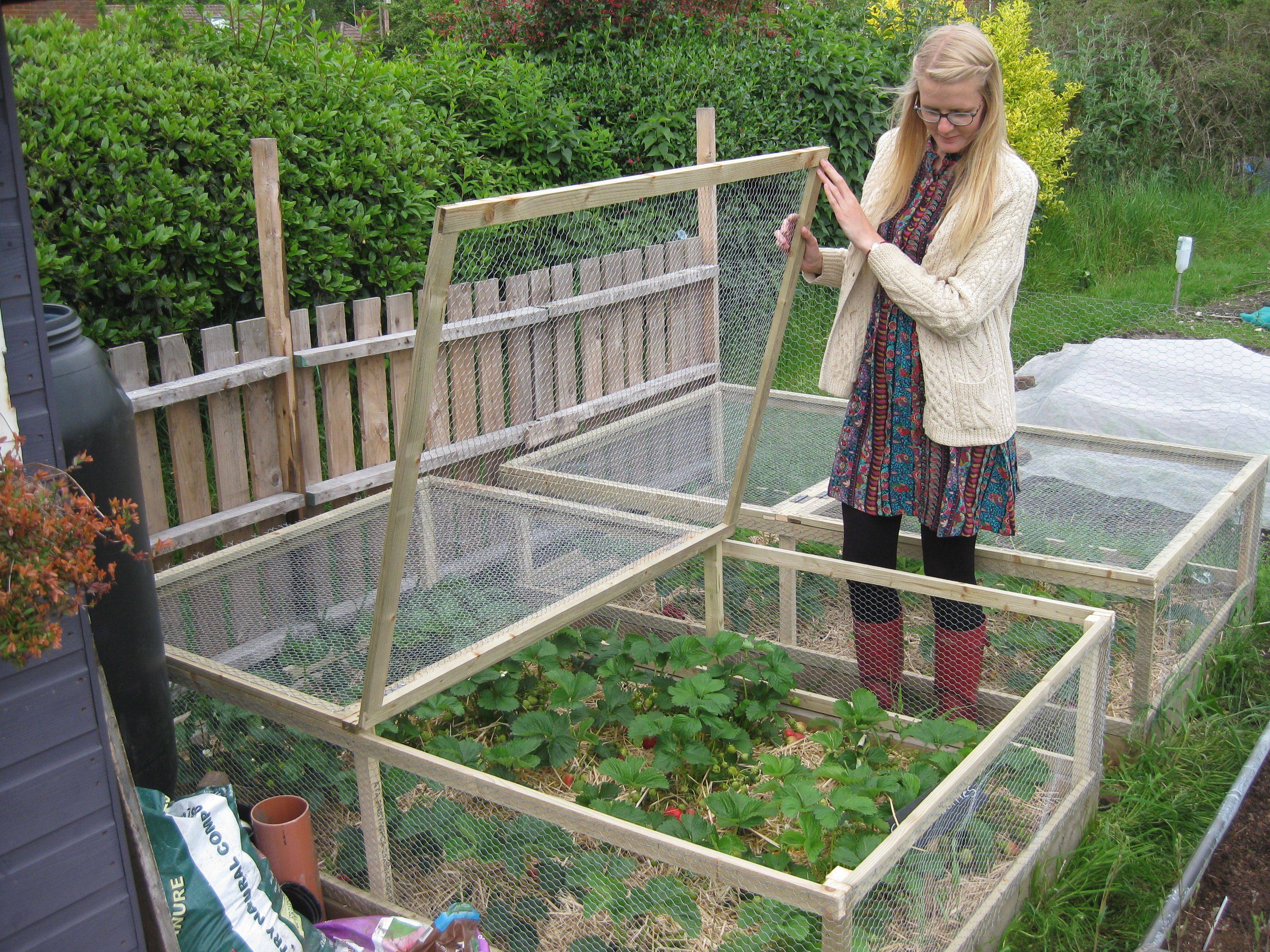 Raised Bed Garden Bird Netting