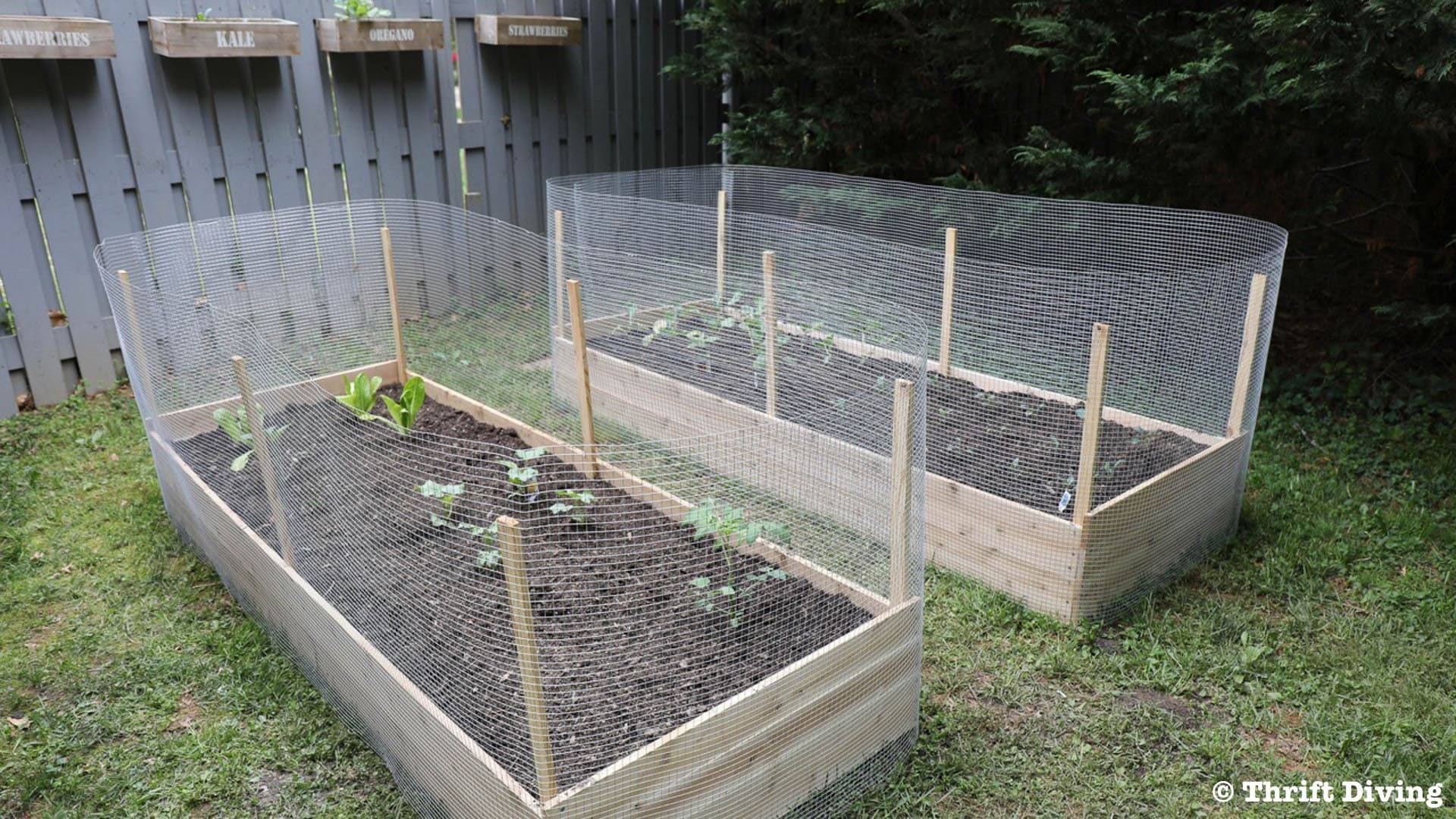 Raised Garden Bed Ideas Tips
