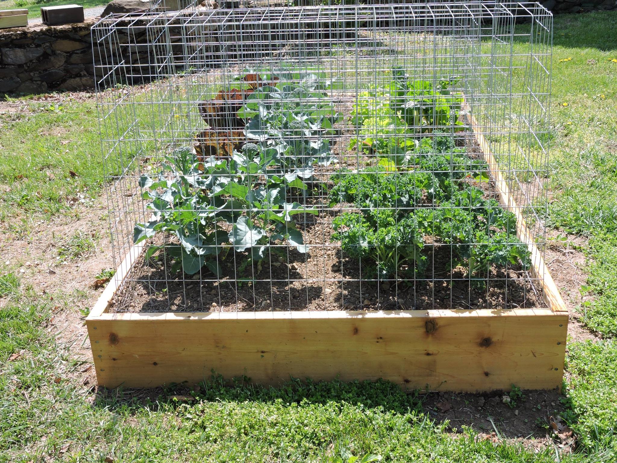 Your Harvest Champagne