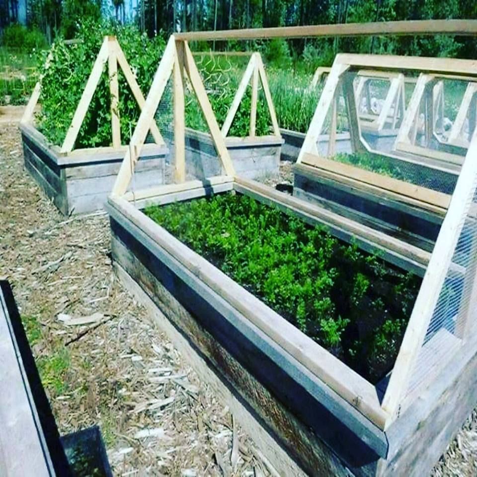 Raised Garden Bed Outdoor Living Today