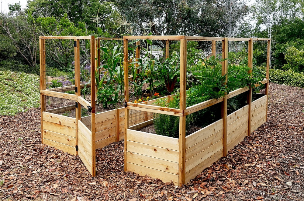 Raised Garden Bed