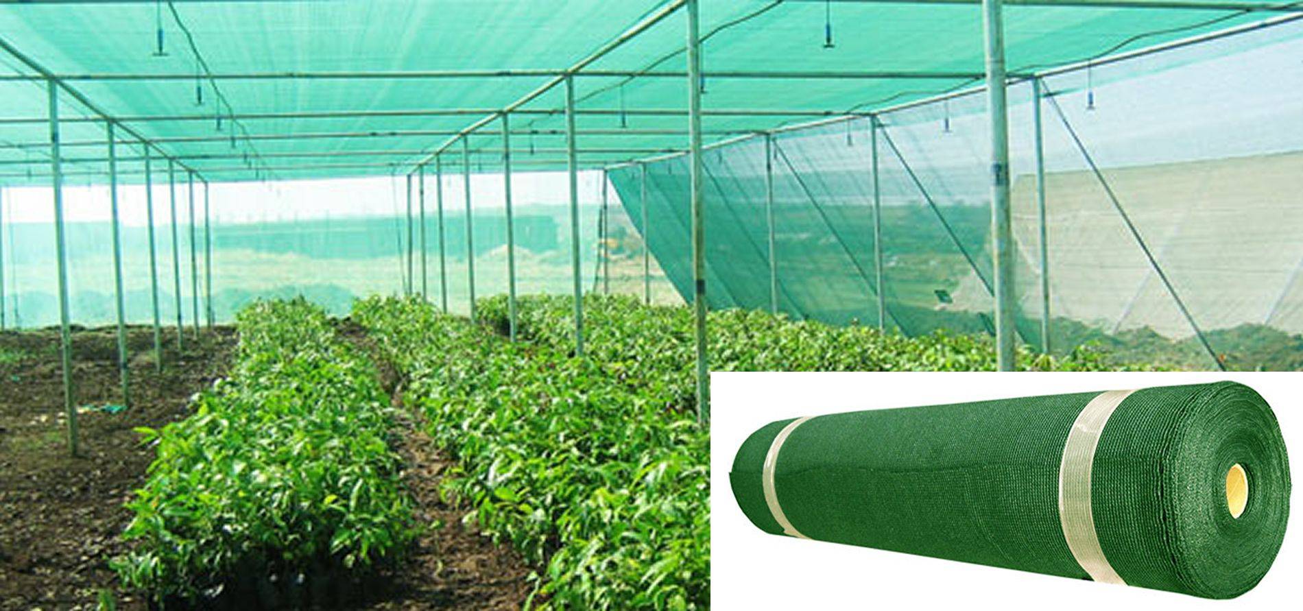 21 Garden Shade Netting Ideas You Should Check SharonSable